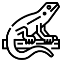 Reptiles icon
