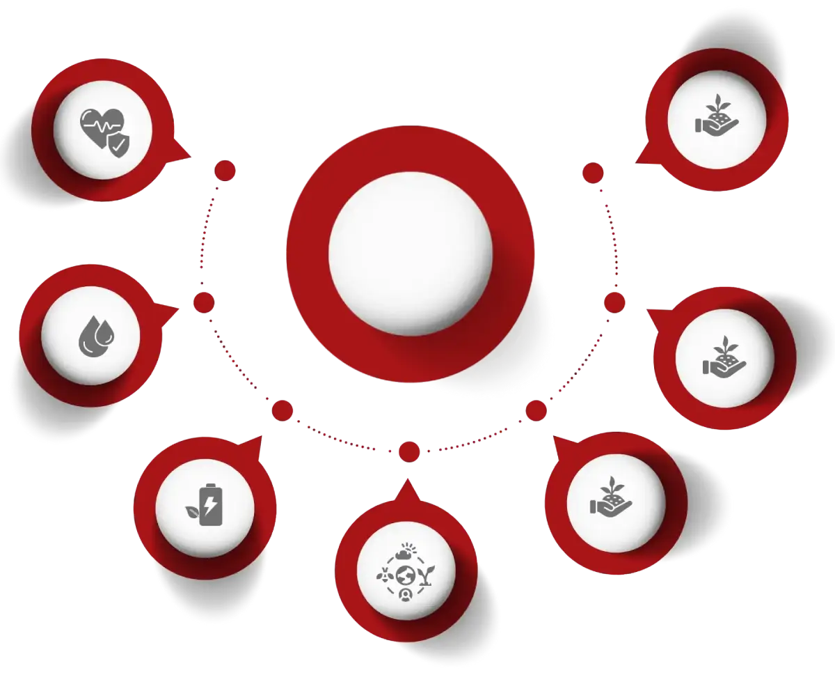 RESEARCH FOCUS AREAS