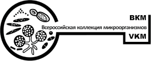 logo3