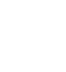 Varroc Excellence